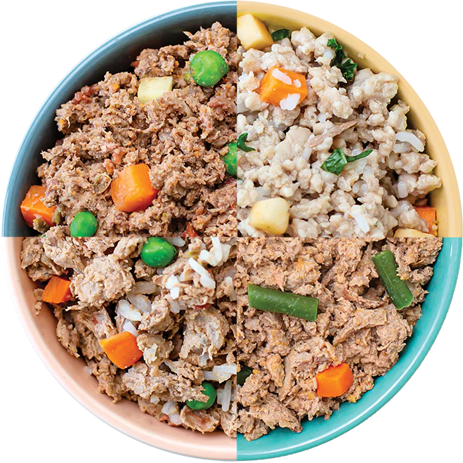 Kit 14 Comida Ração Úmida Natural Cães B ...